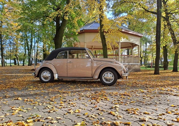 Volkswagen Garbus cena 95000 przebieg: 86000, rok produkcji 1971 z Września małe 667